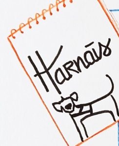 Chien avec harnais