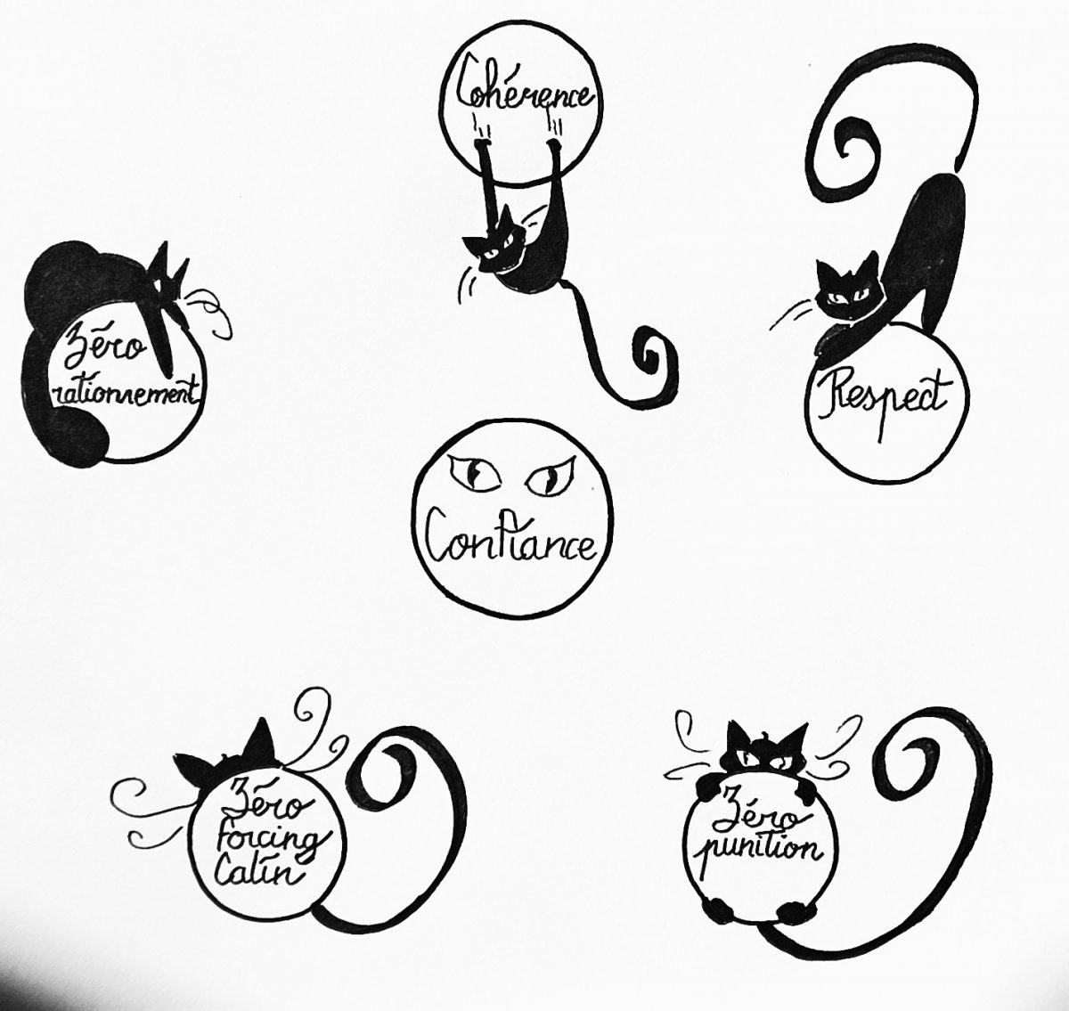 La confiance de son chat en 5 étapes