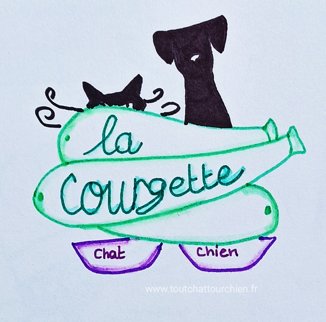 Cuisiner la courgette pour son animal