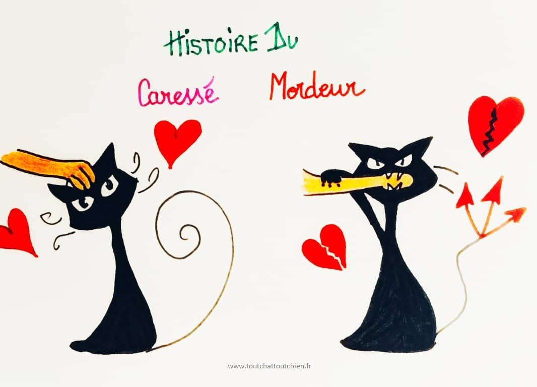 Mon chat caressé/mordeur