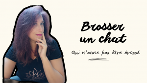 astuce pour brosser un chat qui n'aime pas être brossé