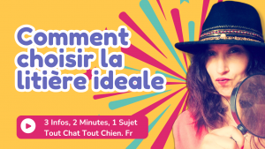 comment choisir la litière idéale pour mon chat