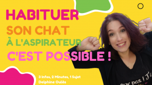 comment habituer mon chat à l'aspirateur