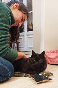 chat en pleine séance d'ostéopathie animale