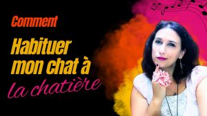 habituer mon chat à la chatière