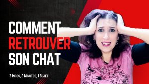 comment retrouver son chat, mon chat est perdu que faire