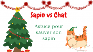 comment protéger son sapin du chat