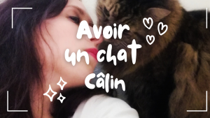 comment faire pour avoir un chat câlin