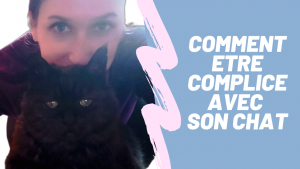comment faire pour avoir un chat complice