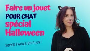 fabriquer un jouet pour son chat