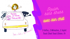illustration voyage en voiture réussi avec un chat et un chien