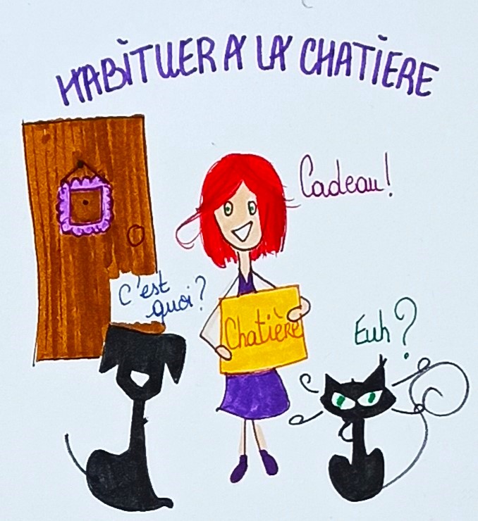 Habituer le chat à la chatière