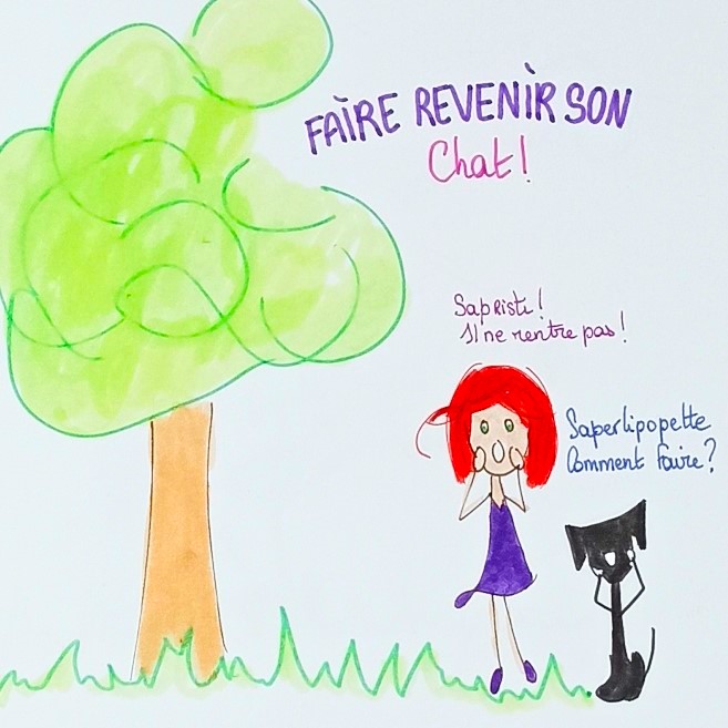 Comment rappeler son chat ?