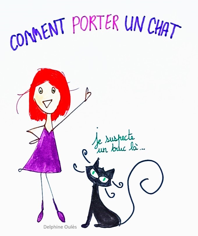 Comment porter un chat ?